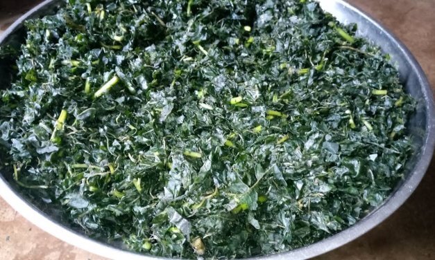 7 Reasons Why You Should Eat Bitter Leaf